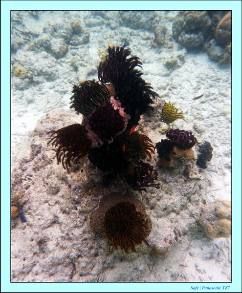 2009   07   Matakin 49